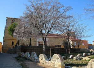 TORDEHUMOS - IMG_4387.JPG