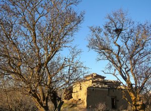 TORDEHUMOS - IMG_5855.JPG