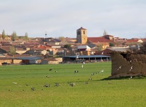 TORDEHUMOS - Imagen 108.JPG