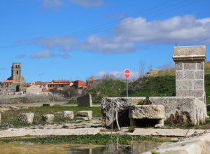 VALDENEBRO DE LOS VALLES - IMG_1303.JPG