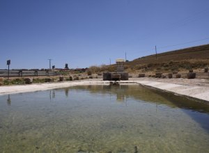 VALDENEBRO DE LOS VALLES - IMG_6121.jpg