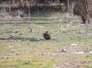 VALVERDE DE CAMPOS - IMG_3577.JPG