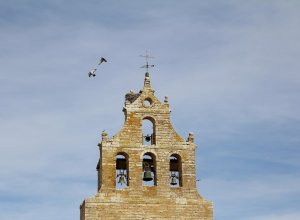 VALVERDE DE CAMPOS - IMG_3588.JPG