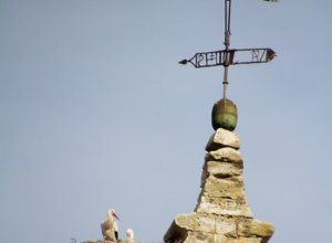 VALVERDE DE CAMPOS - IMG_3594.JPG