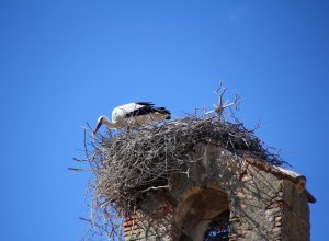 VILLABRAGIMA - IMG_3862.JPG
