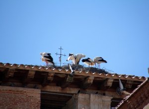 VILLABRAGIMA - IMG_3892.JPG