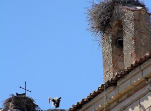 VILLABRAGIMA - IMG_3900.JPG