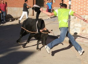 VILLAFRECHOS - IMG_5143.JPG