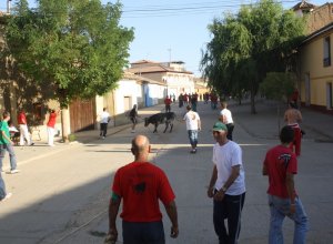 VILLAFRECHOS - IMG_8924.jpg