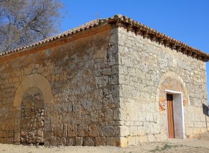 VILLAGARCIA DE CAMPOS - IMG_3993.JPG