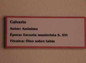 VILLAGARCIA DE CAMPOS - IMG_4098.JPG