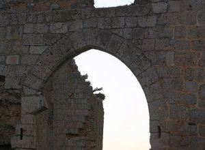 VILLAGARCIA DE CAMPOS - IMG_9657.JPG