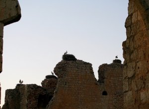 VILLAGARCIA DE CAMPOS - IMG_9662.JPG