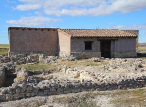 VILLALBA DE LOS ALCORES - IMG_1407.JPG