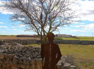 VILLALBA DE LOS ALCORES - IMG_1421.JPG