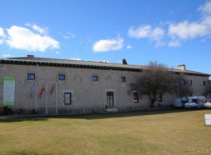 VILLALBA DE LOS ALCORES - IMG_1424.JPG