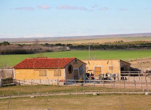 VILLALBA DE LOS ALCORES - IMG_1437.JPG
