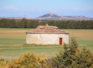 VILLALBA DE LOS ALCORES - IMG_1440.JPG