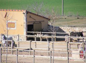 VILLALBA DE LOS ALCORES - IMG_1445.JPG