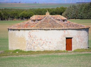 VILLALBA DE LOS ALCORES - IMG_1463.JPG