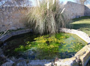 VILLALBA DE LOS ALCORES - IMG_1472.JPG