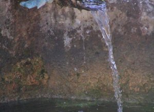 VILLALBA DE LOS ALCORES - IMG_1478.JPG