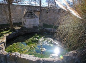 VILLALBA DE LOS ALCORES - IMG_1479.JPG