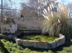 VILLALBA DE LOS ALCORES - IMG_1480.JPG