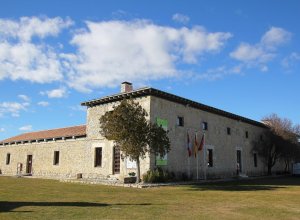 VILLALBA DE LOS ALCORES - IMG_1486.JPG