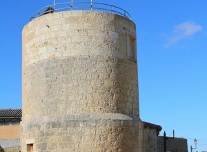 VILLALBA DE LOS ALCORES - IMG_1502.JPG