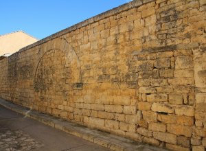 VILLALBA DE LOS ALCORES - IMG_1528.JPG