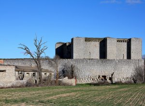 VILLALBA DE LOS ALCORES - IMG_1568.JPG