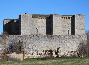 VILLALBA DE LOS ALCORES - IMG_1570.JPG