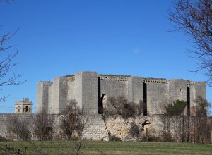 VILLALBA DE LOS ALCORES - IMG_1578.JPG