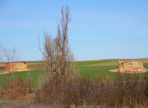 VILLAMURIEL DE CAMPOS - IMG_3306.JPG