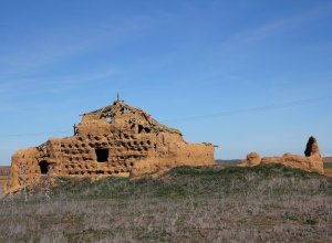 VILLAMURIEL DE CAMPOS - IMG_3313.JPG