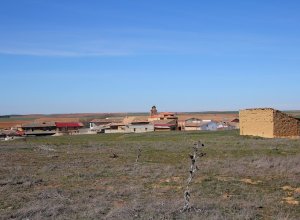 VILLAMURIEL DE CAMPOS - IMG_3315.JPG