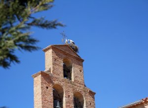 VILLAMURIEL DE CAMPOS - IMG_3337.JPG