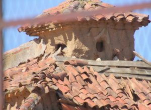VILLAMURIEL DE CAMPOS - IMG_3378.JPG