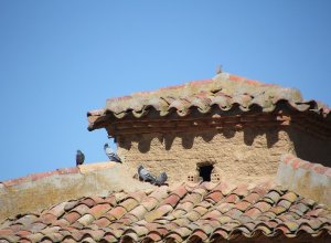 VILLAMURIEL DE CAMPOS - IMG_3381.JPG