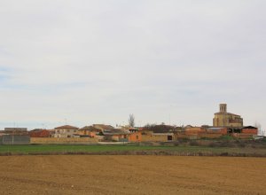 VILLANUEVA DE SAN MANCIO - IMG_0222.JPG